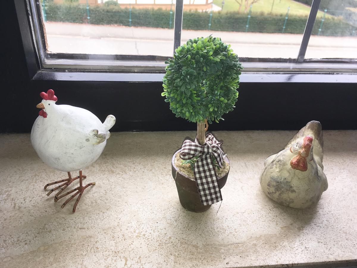 Ferienwohnung Will Walkenried エクステリア 写真