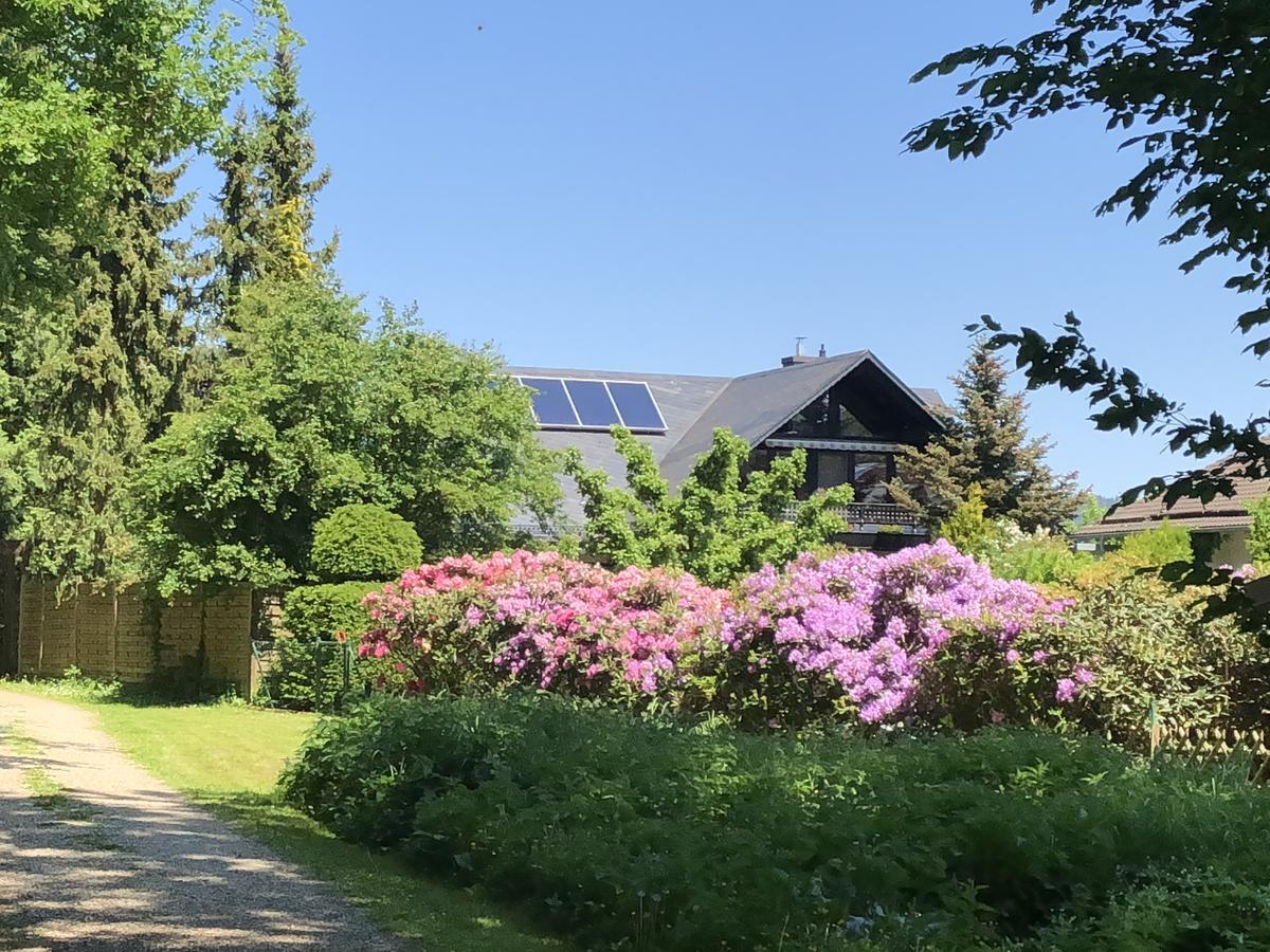 Ferienwohnung Will Walkenried エクステリア 写真